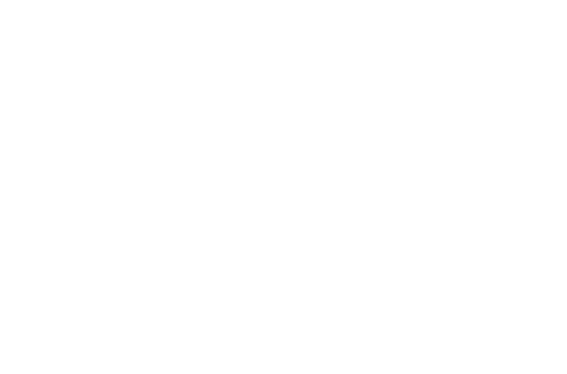VALKER Logo